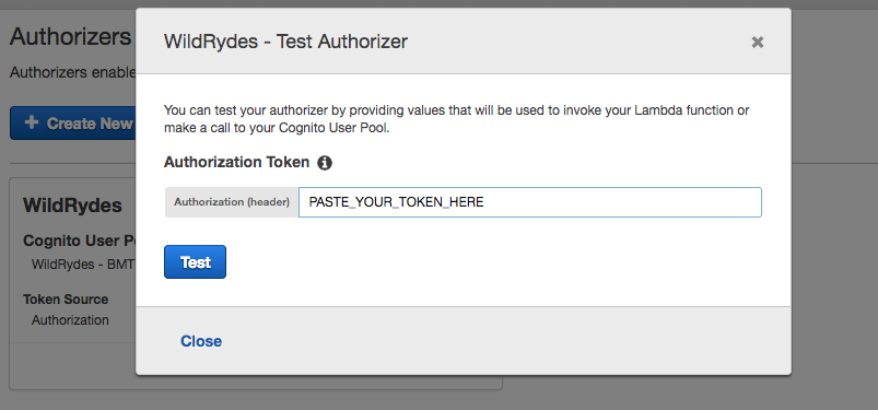 Test Authorizer screenshot